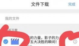 今日头条浙江爆料视频下载,揭秘今日热点事件背后的真相