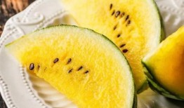 宁波网红陈小姐吃瓜,揭秘幕后真相与网络热议